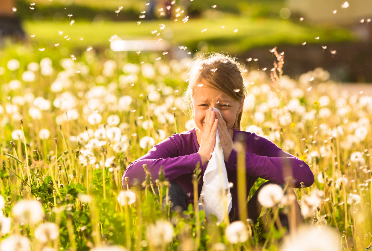 Grass Allergies Explained: What Causes Them and How to Treat Them