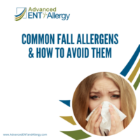 fall allergens